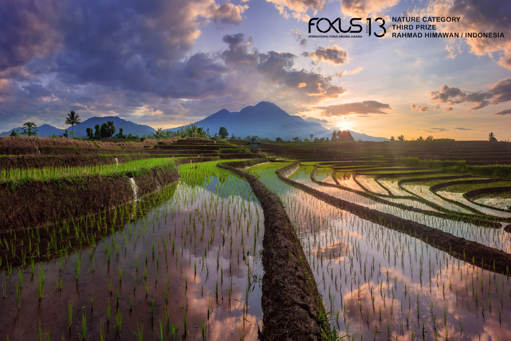 The story of a reflection in the morning in a rural rice field